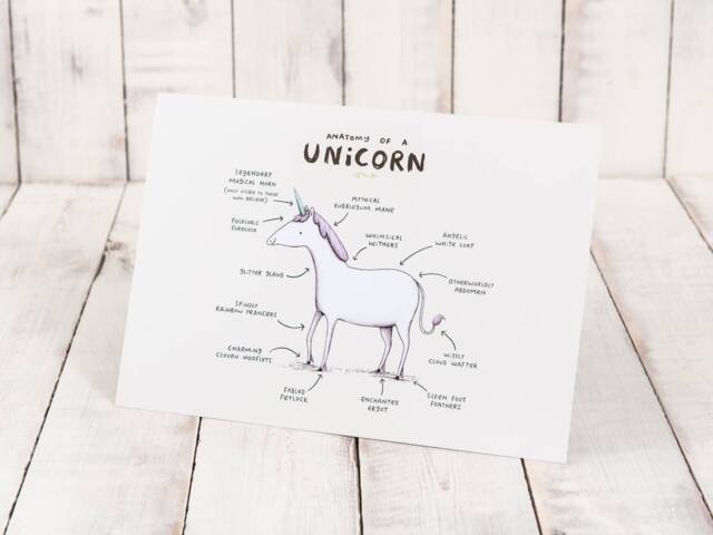 Anatomy Of A Unicorn A4 Signed Print Magical Horse - image 1