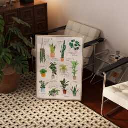 Botanical Plant Art Print Modern Houseplant Illustration - thumbnail 3