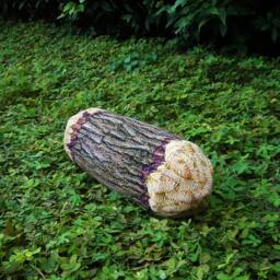 Short Cottonwood Tree Log Bolster Pillow - Phone Number Must Be Included For Purchase - thumbnail 1