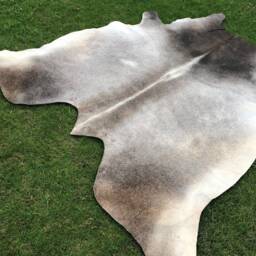 Grey Tricolor Leather Cowhide Rug, & White With Natural Hair On, Large Small Rugs For Living Room & Upholstery - thumbnail 3
