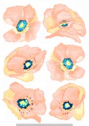 Poppy Wall Decals 6-Set Peach Sorbet, Hand-Painted For Walls, Tiles & Furniture, Floral By Easysweethome - thumbnail 1
