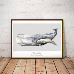 Poster Sperm Whale Ocean Watercolor Minimaki Decoration Zoology - thumbnail 2