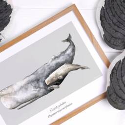 Poster Sperm Whale Ocean Watercolor Minimaki Decoration Zoology - thumbnail 3