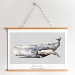 Poster Sperm Whale Ocean Watercolor Minimaki Decoration Zoology - thumbnail 1
