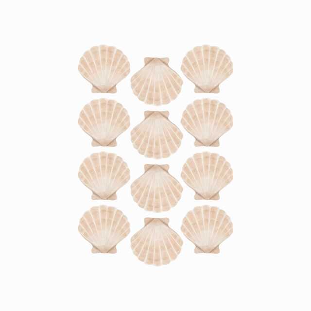 Watercolour Neutral Shells Fabric Wall Stickers - Removable & Reusable - image 1
