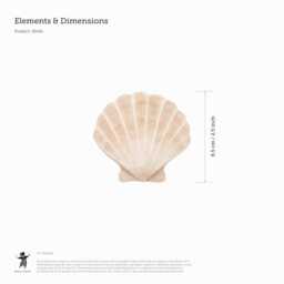 Watercolour Neutral Shells Fabric Wall Stickers - Removable & Reusable - thumbnail 3