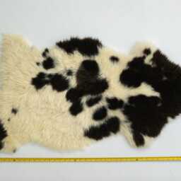 Exotic Creamy Yellow & Black Sheepskin Rug - Unique Spotted Wool Hide For Elegant Home Decor - thumbnail 2