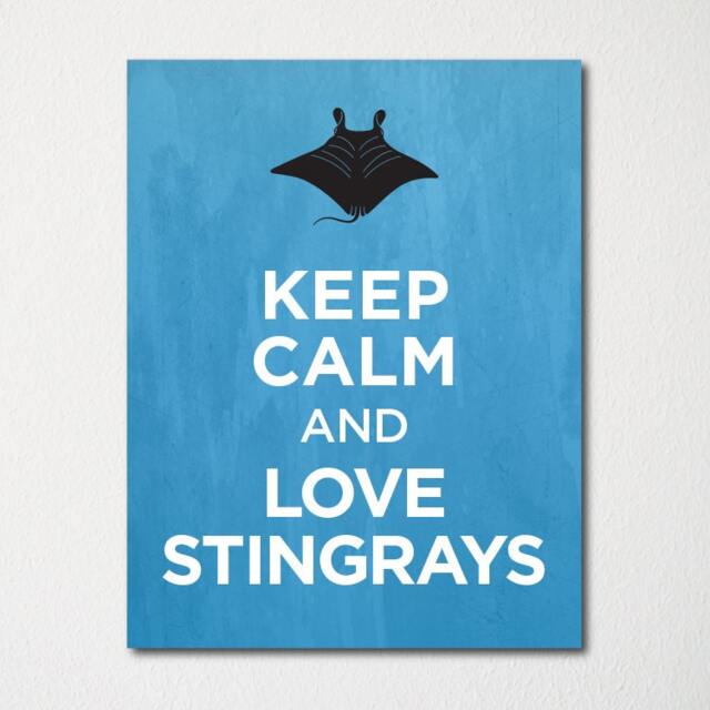 Keep Calm & Love Stingrays - Fine Art Print Choice Of Color Purchase 3 Receive 1 Free Custom Prints Available Upon Request - image 1
