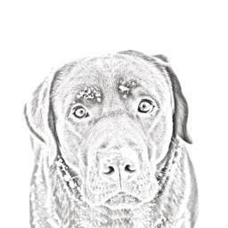 Labrador Retriever - Wooden Stand For Candles/Pens With The Image Of A Dog New Collection - thumbnail 2