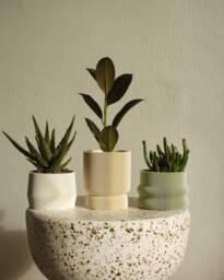 3D Printed Plant Pot Set Homer, Mayla, Elif in Pistachio, Almond, White Bioplastic Planters - thumbnail 1