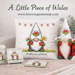 A Little Piece Of Wales Gonk Cushion - 40 X 40cm - thumbnail 3