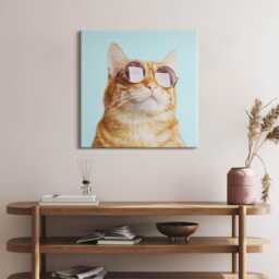 Funny Cat With Glasses Canvas, Wall Art Picture, Turquoise Decoration, Animals Canvas