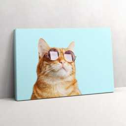 Funny Cat With Glasses Canvas, Wall Art Picture, Turquoise Decoration, Animals Canvas - thumbnail 2