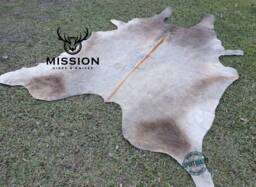 Large Gorgeous Golden Cowhide Rug Peau De Vache. Cow Skin - thumbnail 1