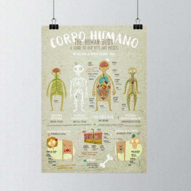 Original Educational Human Body Wall Art Printing Poster Illustration Print Drawings Graphic Design Work Home Decor - image 1