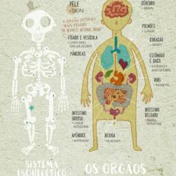 Original Educational Human Body Wall Art Printing Poster Illustration Print Drawings Graphic Design Work Home Decor - thumbnail 2