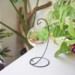 Hanging Glass Air Plant Terrarium Kit Green Moss, Diy Gardener Gift - thumbnail 3