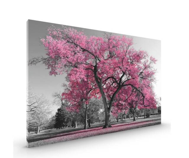 Pink Black White Tree Canvas Framed Glossy Coated Premium With Metal Hanger Various Sizes - image 1