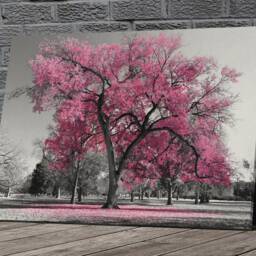 Pink Black White Tree Canvas Framed Glossy Coated Premium With Metal Hanger Various Sizes - thumbnail 2
