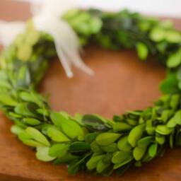 Preserved Mini Boxwood Wreath Spring Decor With Ribbon - thumbnail 3