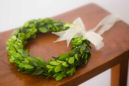 Preserved Mini Boxwood Wreath Spring Decor With Ribbon