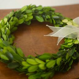 Preserved Mini Boxwood Wreath Spring Decor With Ribbon - thumbnail 4