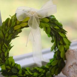 Preserved Mini Boxwood Wreath Spring Decor With Ribbon - thumbnail 2