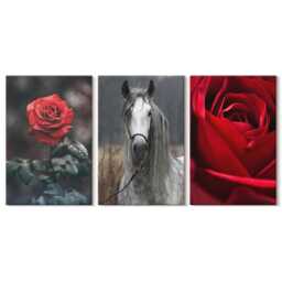 Set Of 3 Canvas Prints - Red Roses & A Horse in Gray Setting, Wall Art, Plants Flowers Decor