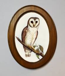 Framed Barn Owl Art Print, Oval Oak Wood Frame, Bird Illustration