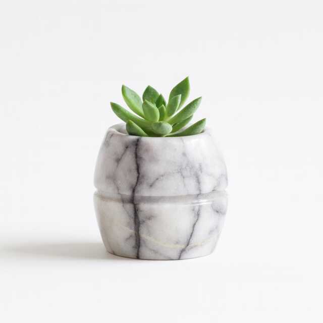 Real Marble Pot - Succulent Planter, Jewelry Dish, Pen Holder, Elegant Home Gift - image 1