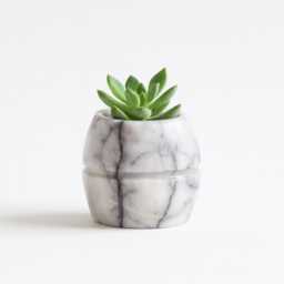 Real Marble Pot - Succulent Planter, Jewelry Dish, Pen Holder, Elegant Home Gift - thumbnail 1