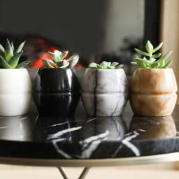 Real Marble Pot - Succulent Planter, Jewelry Dish, Pen Holder, Elegant Home Gift - thumbnail 2