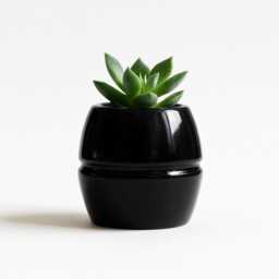 Real Marble Pot - Succulent Planter, Jewelry Dish, Pen Holder, Elegant Home Gift - thumbnail 3