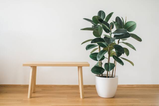 Handmade Ash Wood Bench Minimalist Entryway Furniture - Ready To Assemble - image 1