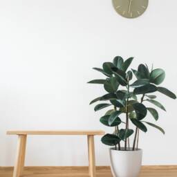 Handmade Ash Wood Bench Minimalist Entryway Furniture - Ready To Assemble - thumbnail 4
