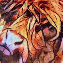 Highland Cow Fringe Rug, Scottish Gifts, Home Decor, 105cm X 65cm - thumbnail 3