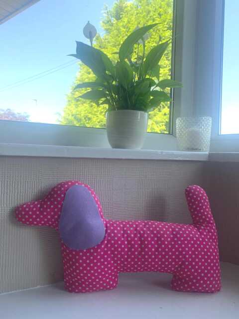 Dog Cushion Dachshund Perfect Gift For Lover Fun Owner Pink Dotty Decor Room - image 1