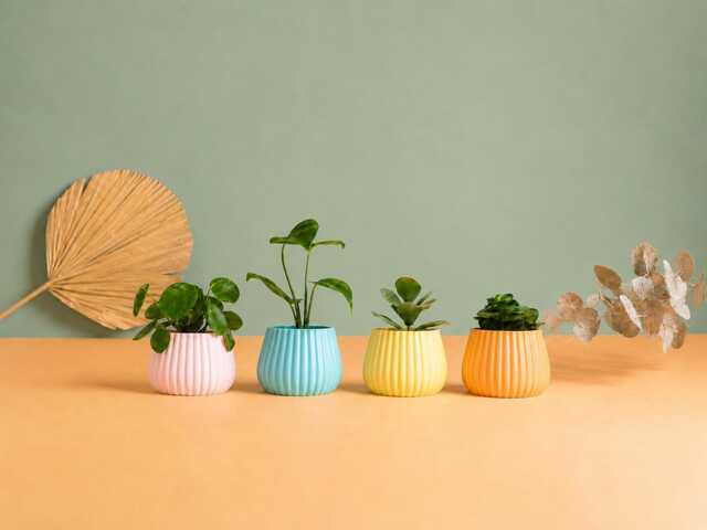 Planter Pot, 3D Printed Cactus, Succulent Planters , Mid Century Idea Gift For Home, Home Decor - image 1