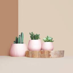 Planter Pot, 3D Printed Cactus, Succulent Planters , Mid Century Idea Gift For Home, Home Decor - thumbnail 3