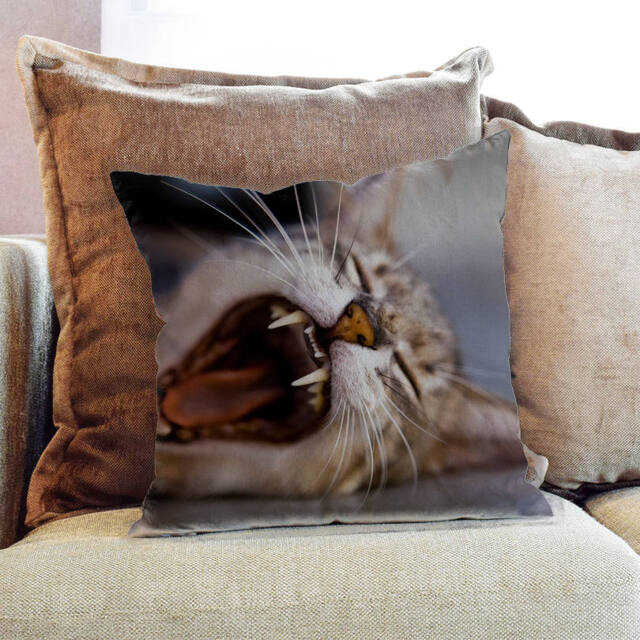 Cat Sleeping Animal Whiskers Photography - Decorative Pillow Throw Cushion Fabric , Case Cover Or With Filling