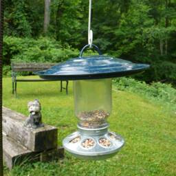 Bird Feeder Homemade Diy, Heavy-Gauge Galvanized Steel For Many Years Of Service, 8 Holes - thumbnail 3