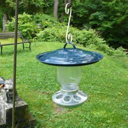 Bird Feeder Homemade Diy, Heavy-Gauge Galvanized Steel For Many Years Of Service, 8 Holes - thumbnail 2