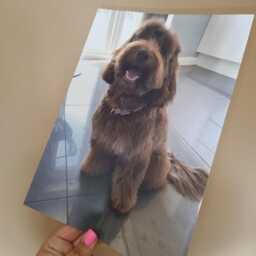 Sale Item - Glossy Photo Image Print Any 6x4 Or A4 - thumbnail 2