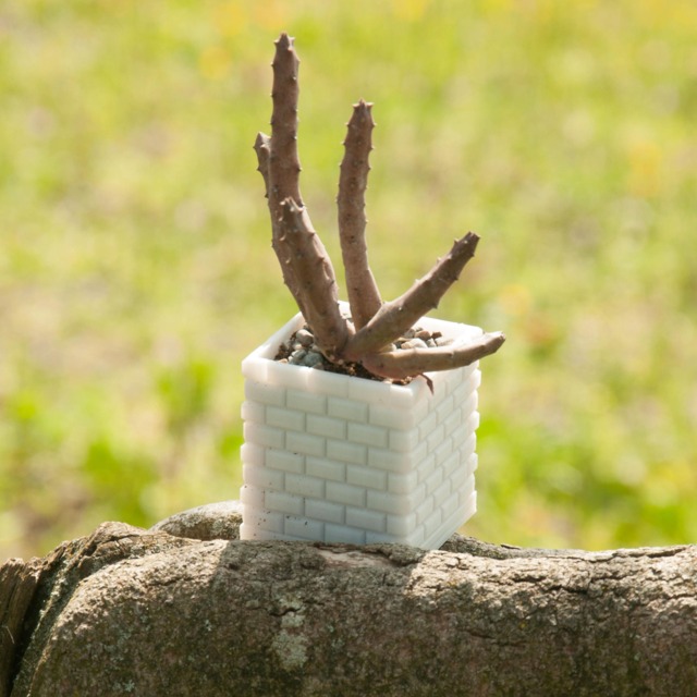 3D Printed Geometric Succulent Planter, Modern Home Decor - image 1