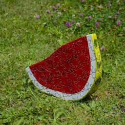 One Of A Kind Wooden Watermelon Slice Shelf Decor Hand Painted Puzzle Lover Vegan Gift - thumbnail 4