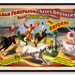 Circus Horses Acrobat Show Vintage Posters Set Of 6 Prints - thumbnail 3