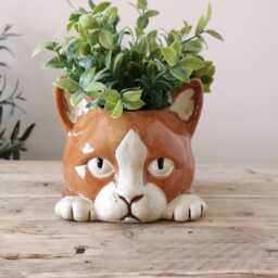 Imperfect Ceramic Ginger Cat Plant Pot - Quirky Glazed Feline Planter, Lover Home Decor - thumbnail 1
