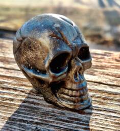 Pewter Skull Goth Decor Paperweight - thumbnail 1