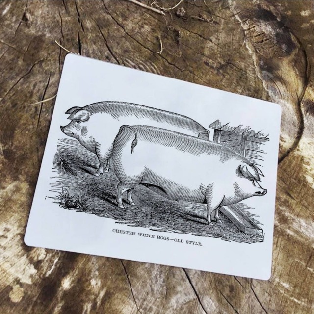 Pig Basket Vintage Advertising Enamel Metal Tin Sign Wall Plaque