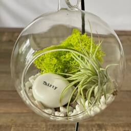 Diy Terrarium Air Plant Kit, Birthday Gift For 30 Year Olds. Thirty Birthday. Air Plant Terrarium Present - thumbnail 3